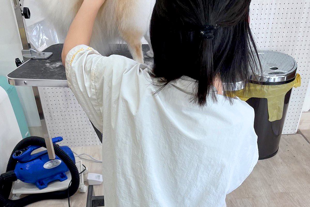 トリミングサロンのお姉さんが大好きな犬→他の犬をカット中、下を見てみると…仕事にならない『まさかの行動』に2万いいね「可愛すぎるｗｗ」