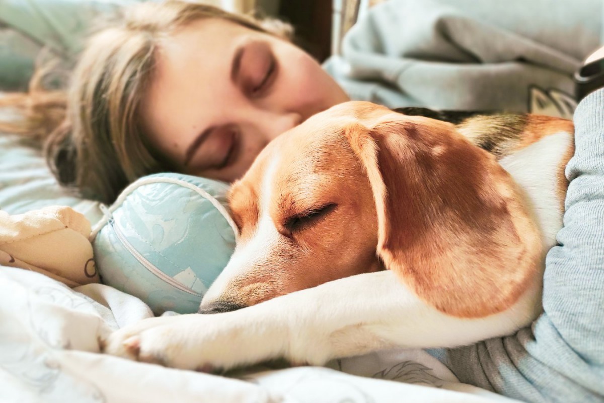 寒い冬、犬といっしょに寝る時に気をつけたいこと