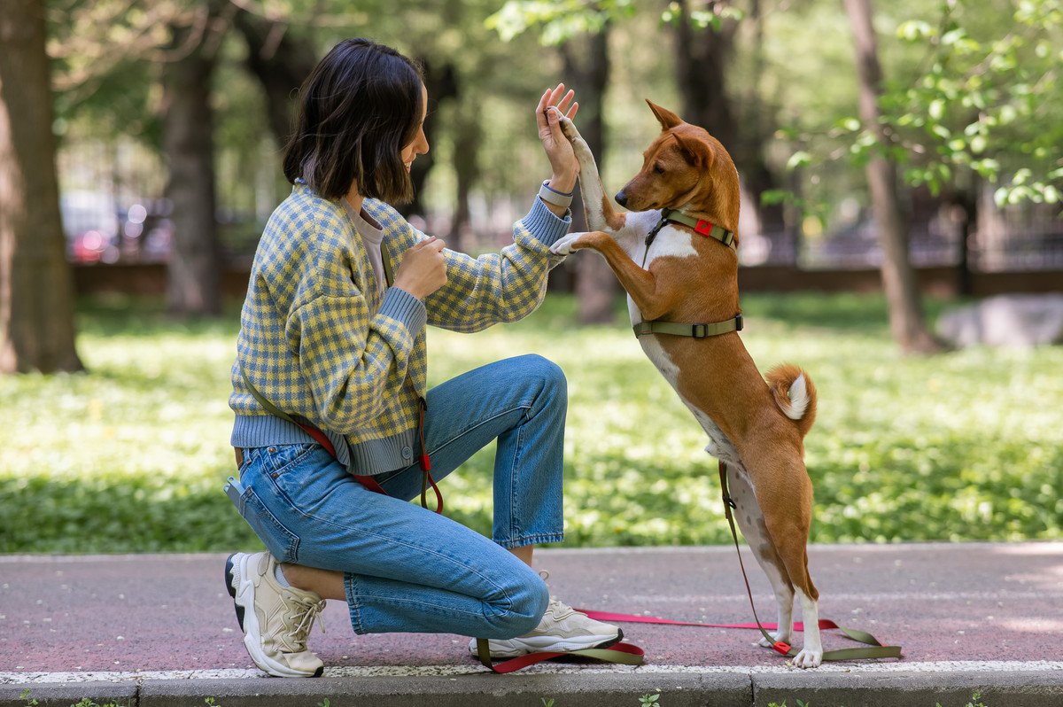 犬とトレーニングをするタイミングはいつがベスト？落ち着いて取り組める環境を作ろう