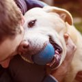 犬が飼い主と一緒に…