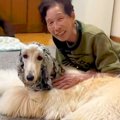 おばあちゃんの家に…