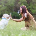 犬に押し付けがちな…