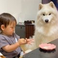 赤ちゃんが『うどん…