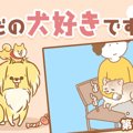 ただの犬好きです。…