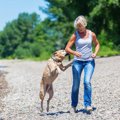犬が飛び跳ねるとき…