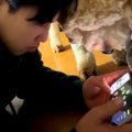 お兄ちゃんがスマホ…