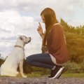 あなたはどう？犬が…