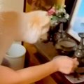 おじいちゃんの遺影…