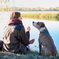 犬に安心感を与える…