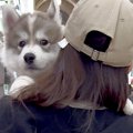 軽々と抱っこされる…