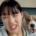 『ワンッ！！』犬の…