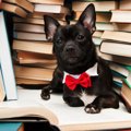 全部わかったら犬博…