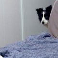 風邪で寝込んでいた…