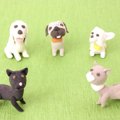 一人暮らしの犬の選…