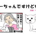ちーちゃんですけど…