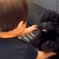 小さな男の子が『赤…