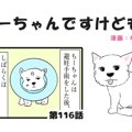 ちーちゃんですけど…