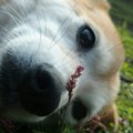歴史とともに変わっ…