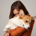 犬を困らせる『飼い…