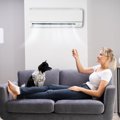 犬が『夏バテ』をし…