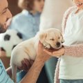 あなたは犬を飼うの…