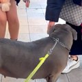 通りすがりの女性に…