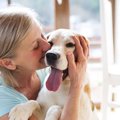 犬が飼い主にピタッ…