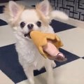 今日の遊びは終了～…