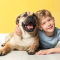 犬と子どもの交流、…