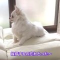 見送りをうっかり忘…