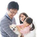 犬を飼いたい！親を…