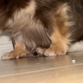 『ほんと無理いい加…