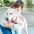 犬にとっての『触ら…