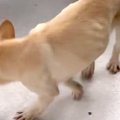『もう用済み』と捨…