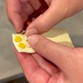 『犬に確実に薬を飲…
