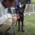 男性が苦手な元野犬……