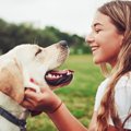 犬が「幸せ」と感じ…