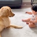やんちゃな性格の大…