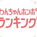 新サービス「わんち…