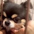 『私はどうしてここ…