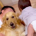 パパと大型犬が一緒…