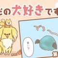 ただの犬好きです。…