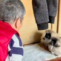 おばあちゃんに内緒…