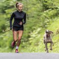 犬と飼い主の関係性…