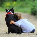 犬の気持ちを考える…