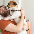 犬が『本気で喜んで…