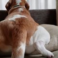 何だか落ち着かない…