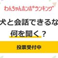 【投票受付中】もし…