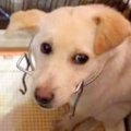 全く心を開いてくれ…