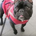 態度が違う？！パパ…